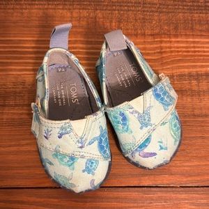 Baby toms turtles